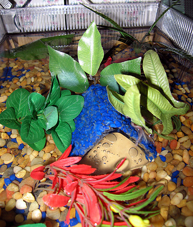 A cave made out of a votive and aquarium gravel.